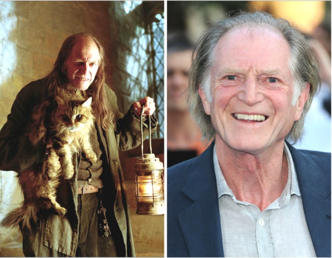 Gli Attori di Harry Potter 14 Anni Dopo il Primo Capitolo della Saga in 22 Scatti!