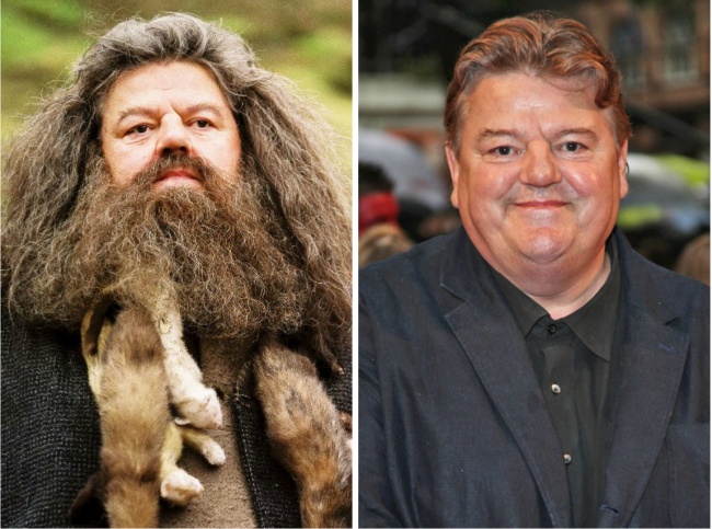 Gli Attori di Harry Potter 14 Anni Dopo il Primo Capitolo della Saga in 22 Scatti!