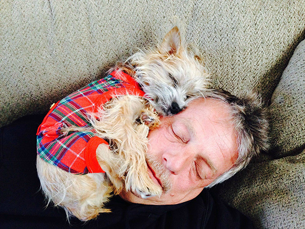 16 Foto Esilaranti di Cani Davvero "Poco" Invadenti