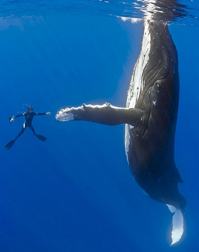 Tutti Abbiamo Bisogno di un Abbraccio: Ecco 25 Foto lo Dimostrano