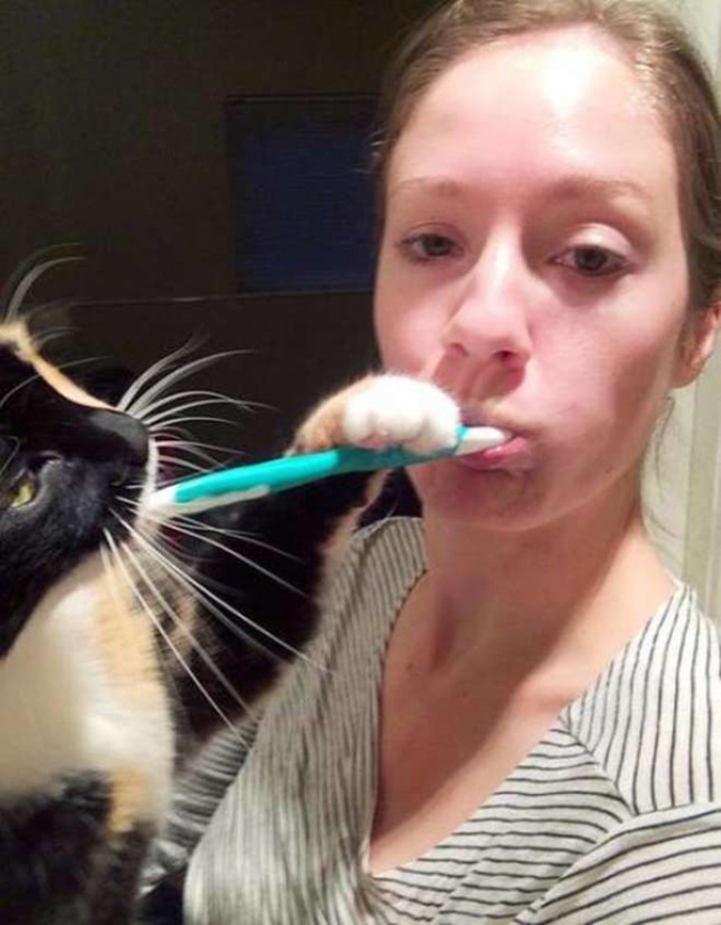 Il Vostro Gatto ha Idea di Cosa sia la Privacy? Questi 30 Felini Sembra Non lo Sappiano!