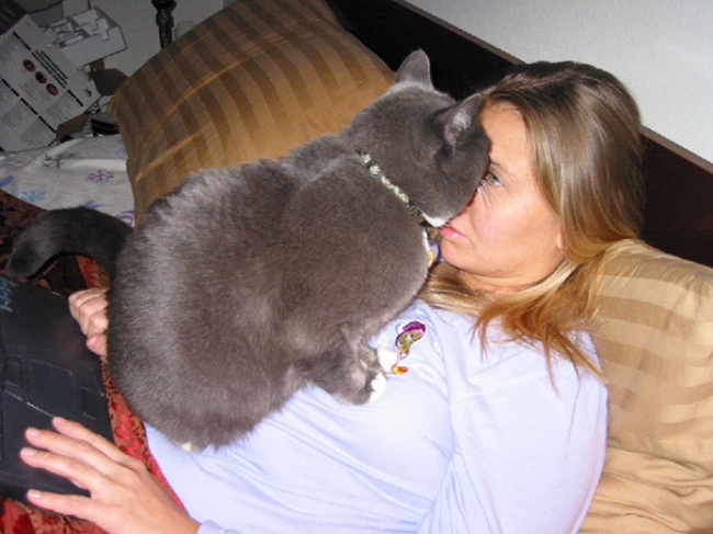 Il Vostro Gatto ha Idea di Cosa sia la Privacy? Questi 30 Felini Sembra Non lo Sappiano!
