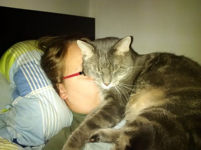 Il Vostro Gatto ha Idea di Cosa sia la Privacy? Questi 30 Felini Sembra Non lo Sappiano!