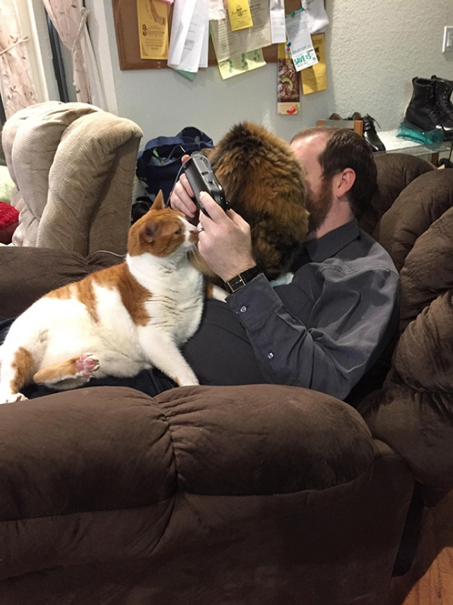 Il Vostro Gatto ha Idea di Cosa sia la Privacy? Questi 30 Felini Sembra Non lo Sappiano!