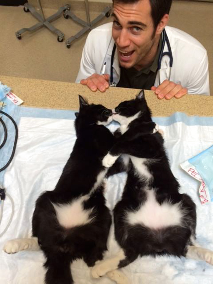Evan Antin, è Lui il Veterinario Più Sexy del Mondo. Ecco le Foto!
