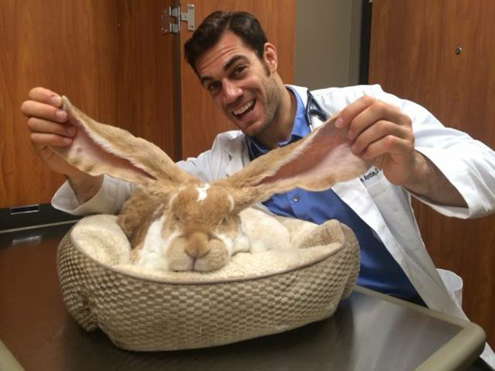 Evan Antin, è Lui il Veterinario Più Sexy del Mondo. Ecco le Foto!