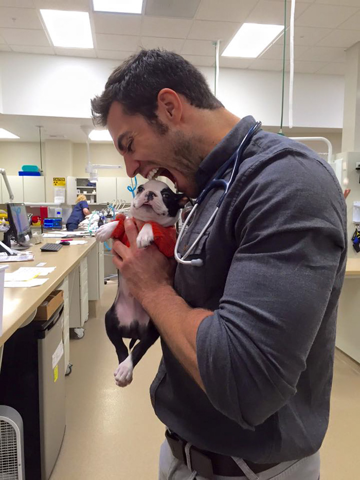 Evan Antin, è Lui il Veterinario Più Sexy del Mondo. Ecco le Foto!