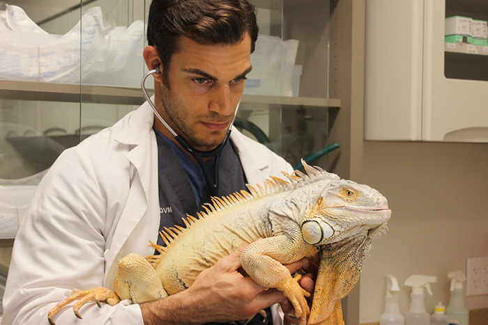 Evan Antin, è Lui il Veterinario Più Sexy del Mondo. Ecco le Foto!