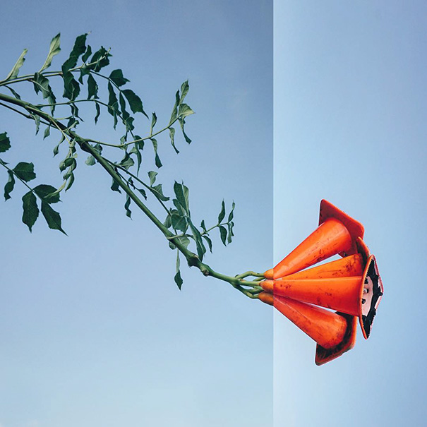 Due Foto in una: gli Scatti di Stephen McMennamy che ti Sorprenderanno