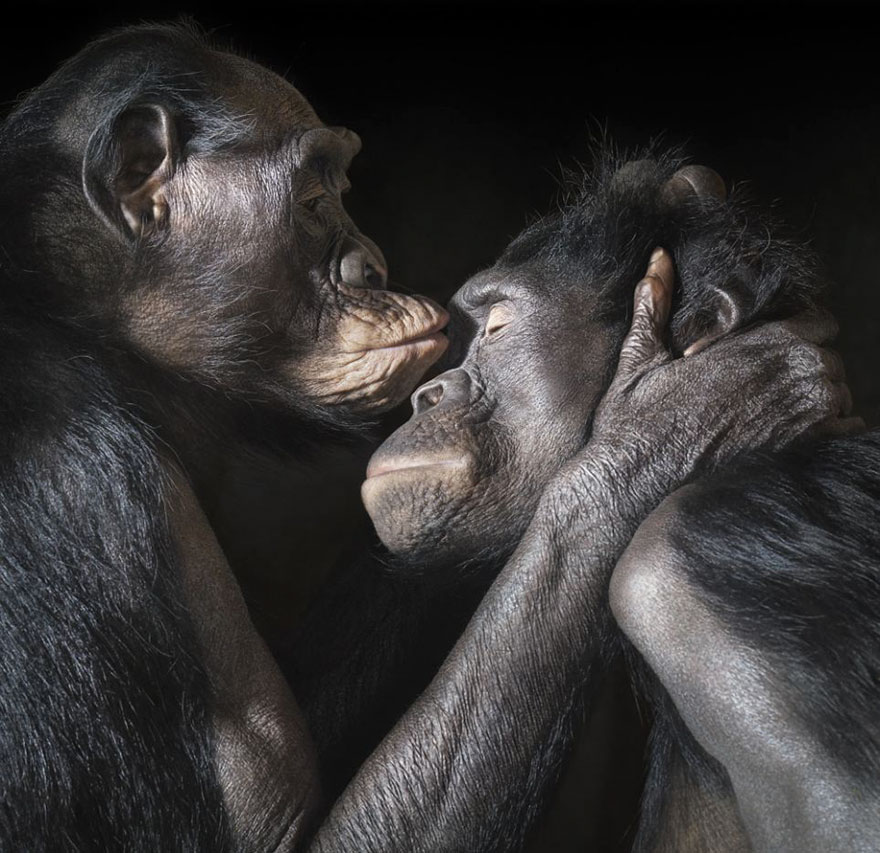 28 Foto che Provano che i Baci Non Sono Solo per le Persone