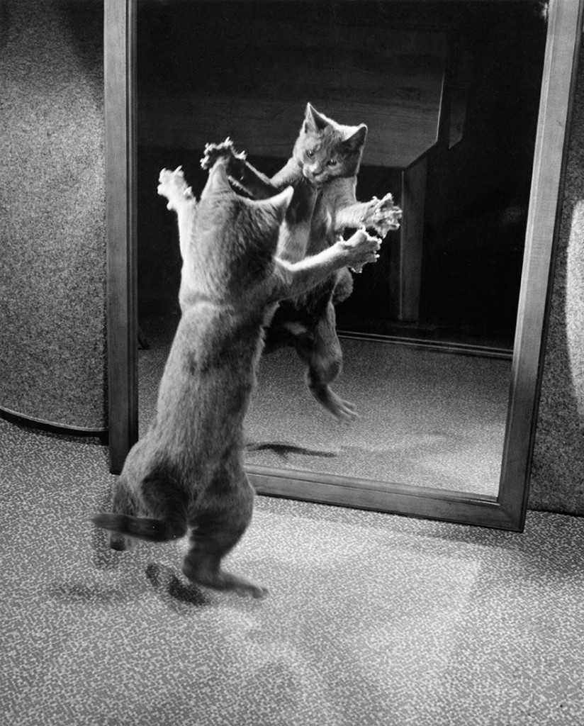 25 Inedite Foto Mai Pubblicate Trovate negli Archivi del National Geographic