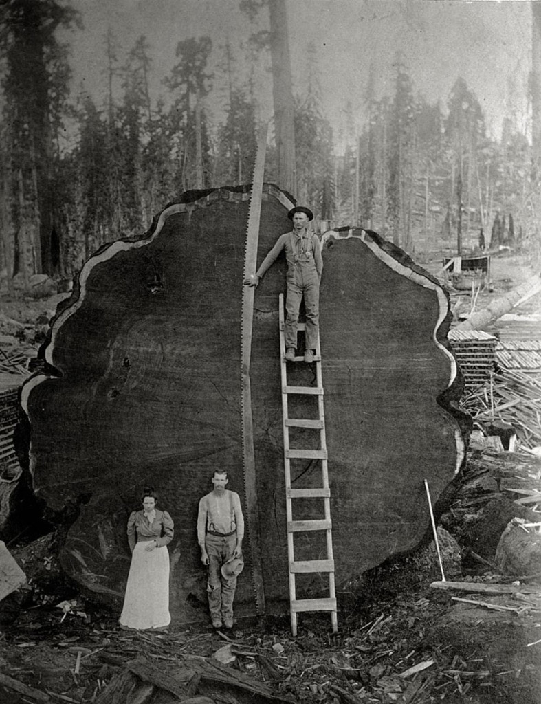25 Inedite Foto Mai Pubblicate Trovate negli Archivi del National Geographic