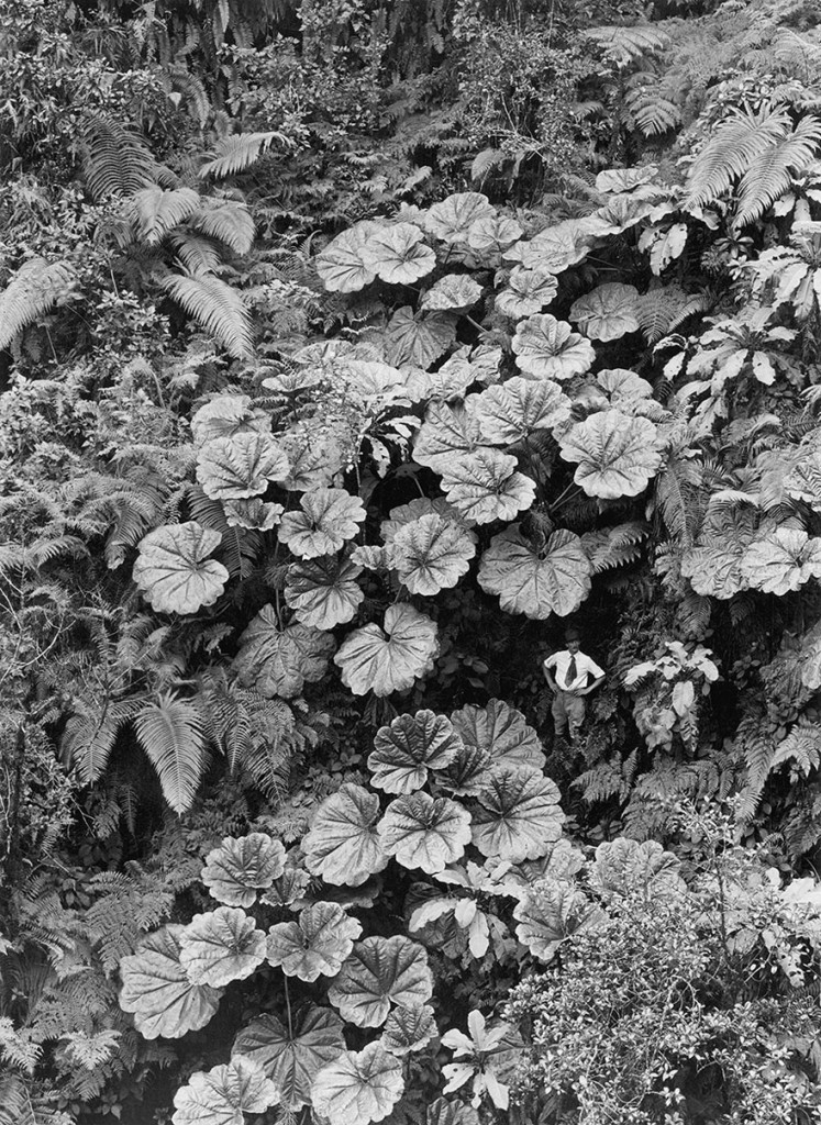 25 Inedite Foto Mai Pubblicate Trovate negli Archivi del National Geographic