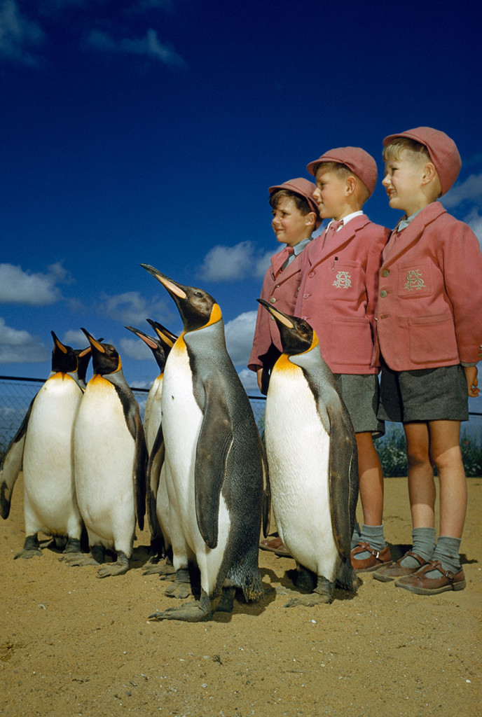 25 Inedite Foto Mai Pubblicate Trovate negli Archivi del National Geographic