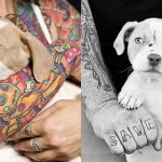 Tattoos & Rescues: Cos'Hanno in Comune Cani di Razze "Pericolose" e Uomini Tatuati?