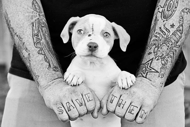 Tattoos & Rescues: Cos'Hanno in Comune Cani di Razze "Pericolose" e Uomini Tatuati?