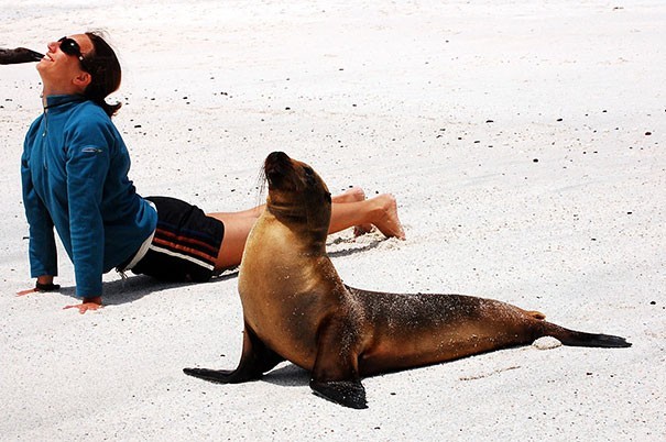 Tutt'altro che Pigri! Ecco 20 Animali che Sanno Come Mantenersi in Forma