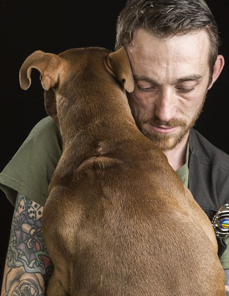Tattoos & Rescues: Cos'Hanno in Comune Cani di Razze "Pericolose" e Uomini Tatuati?