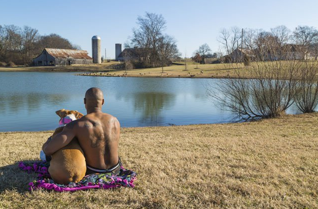 Tattoos & Rescues: Cos'Hanno in Comune Cani di Razze "Pericolose" e Uomini Tatuati?