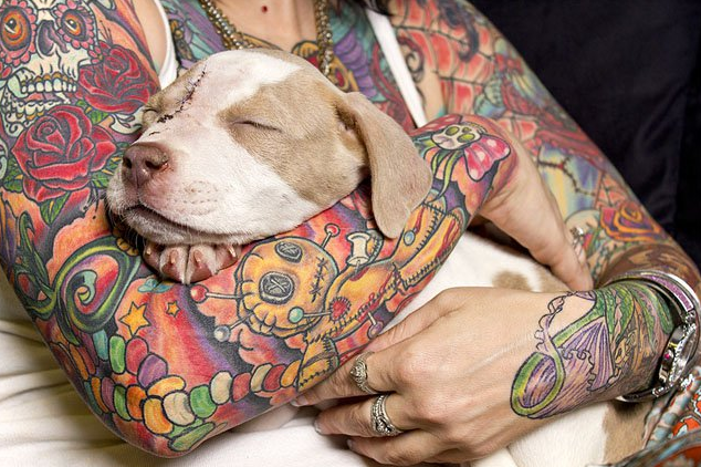 Tattoos & Rescues: Cos'Hanno in Comune Cani di Razze "Pericolose" e Uomini Tatuati?