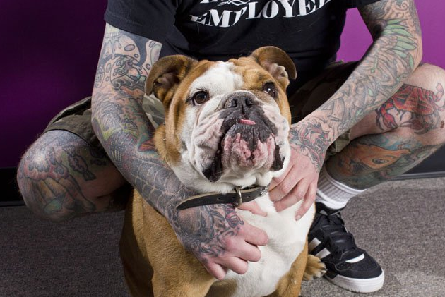 Tattoos & Rescues: Cos'Hanno in Comune Cani di Razze "Pericolose" e Uomini Tatuati?