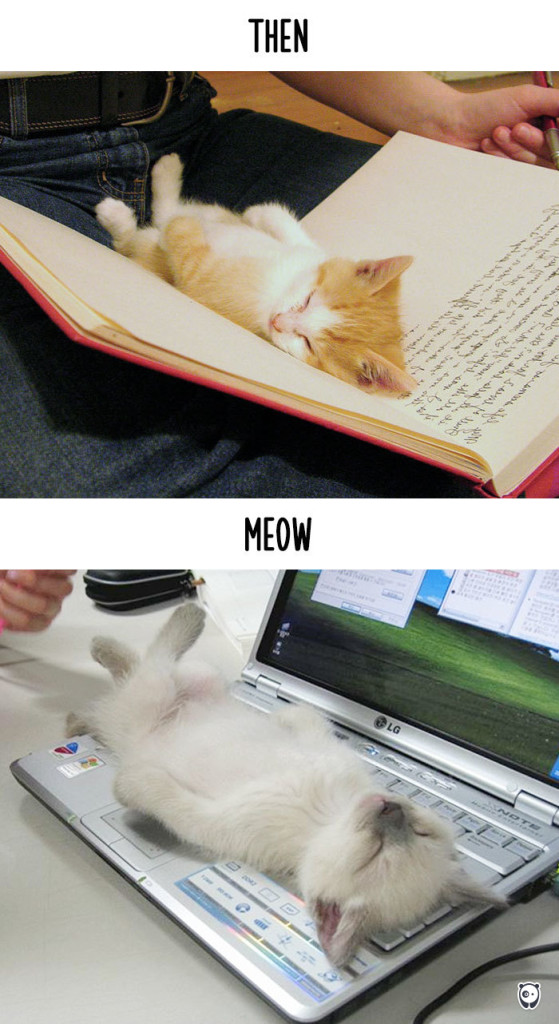 14 Foto che Dimostrano Com'è Cambiata la Vita dei Gatti con la Tecnologia