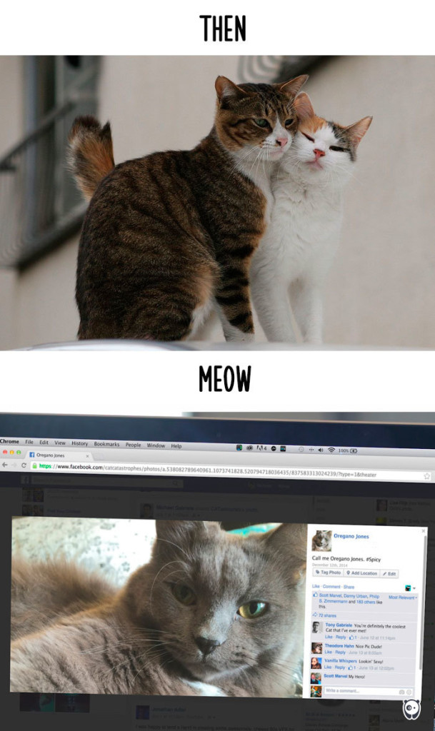 14 Foto che Dimostrano Com'è Cambiata la Vita dei Gatti con la Tecnologia