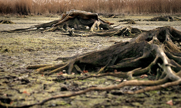 Riuscite a Trovare Chi è Nascosto nella Natura In Queste 24 Foto?