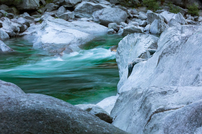 Riuscite a Trovare Chi è Nascosto nella Natura In Queste 24 Foto?