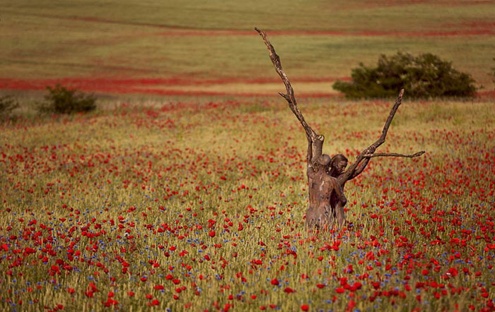Riuscite a Trovare Chi è Nascosto nella Natura In Queste 24 Foto?