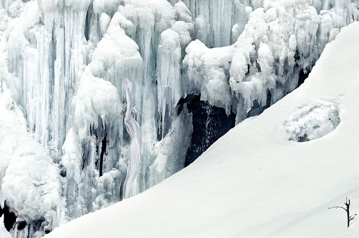 Riuscite a Trovare Chi è Nascosto nella Natura In Queste 24 Foto?