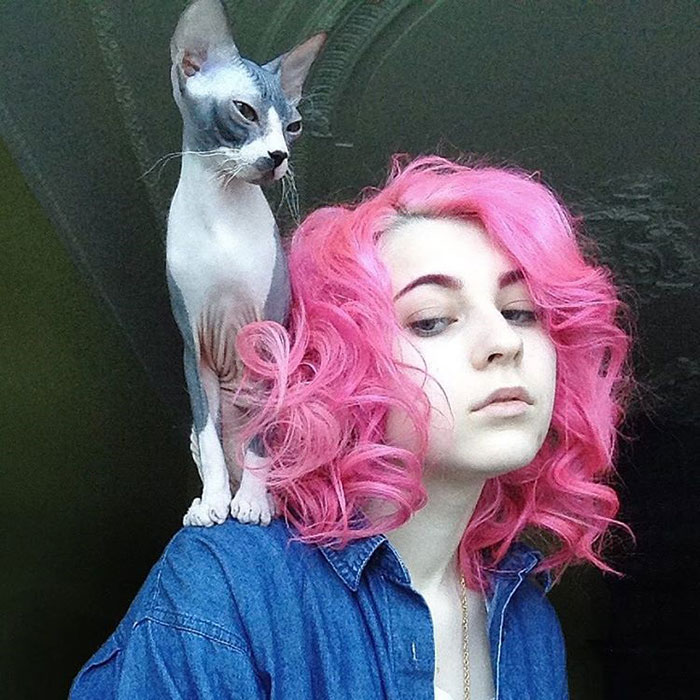 Rainbow Cat: la Nuova Acconciatura che Spopola su Instagram in 10 Foto!