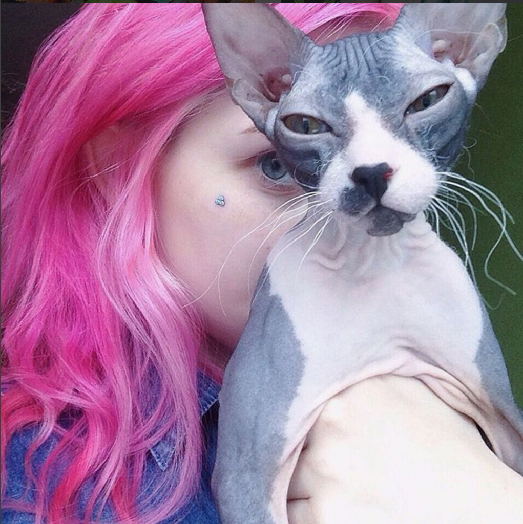 Rainbow Cat: la Nuova Acconciatura che Spopola su Instagram in 10 Foto!