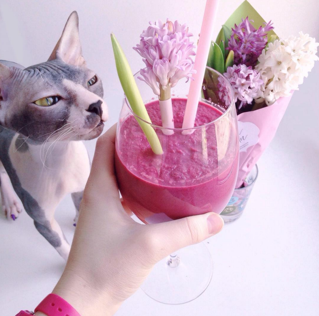 Rainbow Cat: la Nuova Acconciatura che Spopola su Instagram in 10 Foto!