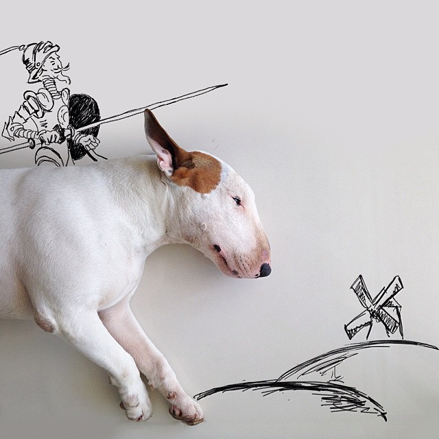 La Moglie lo Lascia e Lui Trova l'Ispirazione: Ecco 30 Illustrazioni di un Buffissimo Bull Terrier