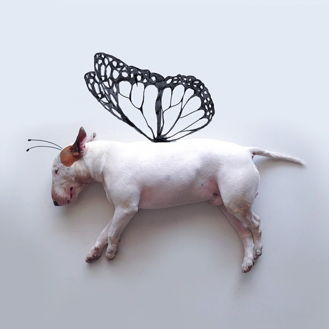 La Moglie lo Lascia e Lui Trova l'Ispirazione: Ecco 30 Illustrazioni di un Buffissimo Bull Terrier