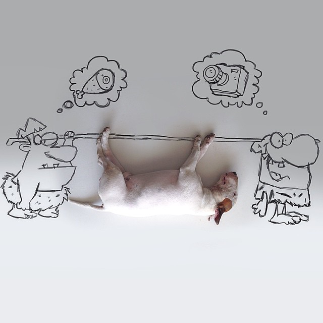 La Moglie lo Lascia e Lui Trova l'Ispirazione: Ecco 30 Illustrazioni di un Buffissimo Bull Terrier