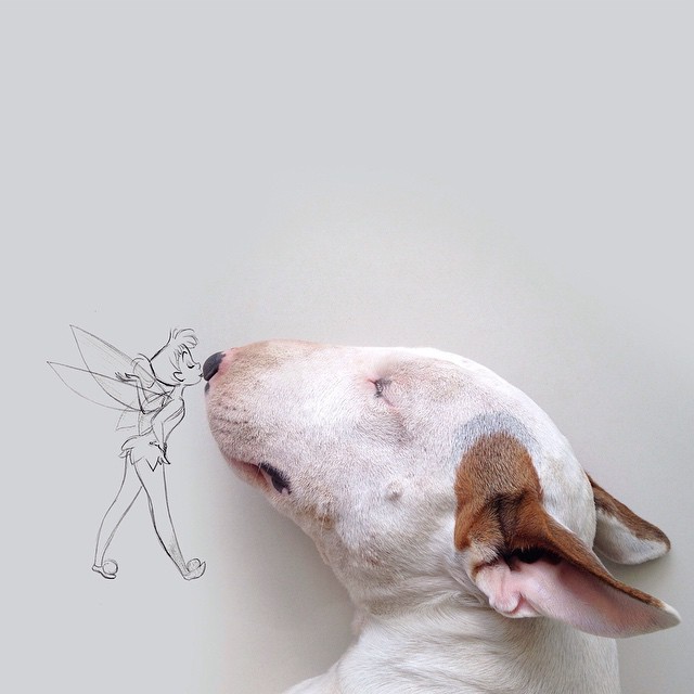 La Moglie lo Lascia e Lui Trova l'Ispirazione: Ecco 30 Illustrazioni di un Buffissimo Bull Terrier