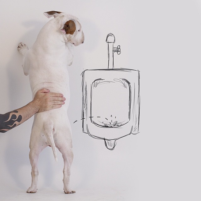 La Moglie lo Lascia e Lui Trova l'Ispirazione: Ecco 30 Illustrazioni di un Buffissimo Bull Terrier