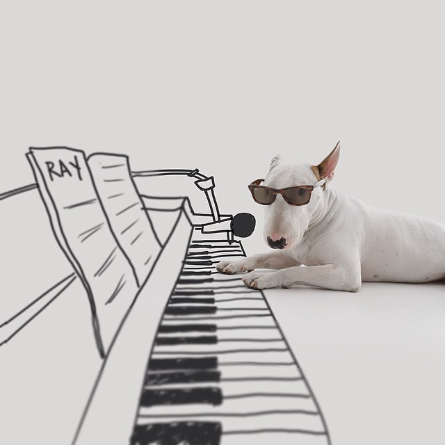 La Moglie lo Lascia e Lui Trova l'Ispirazione: Ecco 30 Illustrazioni di un Buffissimo Bull Terrier