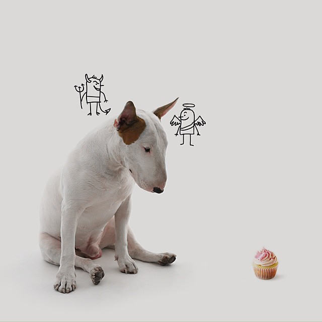 La Moglie lo Lascia e Lui Trova l'Ispirazione: Ecco 30 Illustrazioni di un Buffissimo Bull Terrier