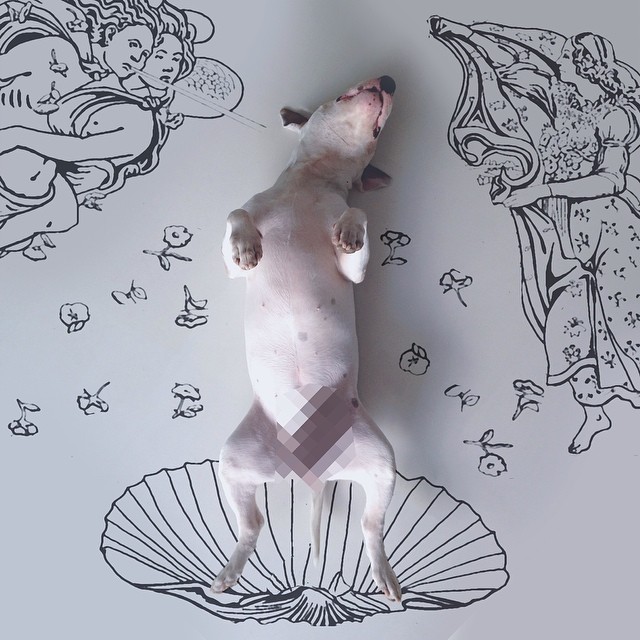 La Moglie lo Lascia e Lui Trova l'Ispirazione: Ecco 30 Illustrazioni di un Buffissimo Bull Terrier