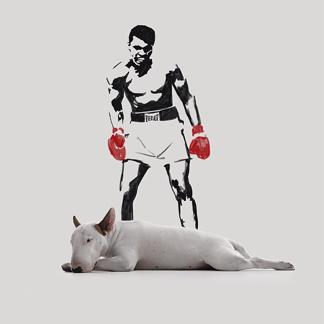 La Moglie lo Lascia e Lui Trova l'Ispirazione: Ecco 30 Illustrazioni di un Buffissimo Bull Terrier