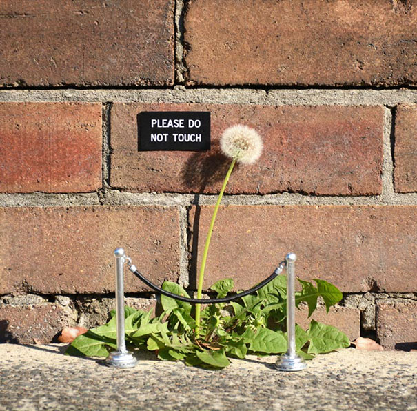 Quando il Vandalismo è Geniale: 30 Immagini "Illegali" che vi Stupiranno!