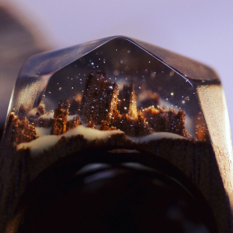 Secret Wood: 14 Anelli in Legno che Contengono Mondi Segreti!