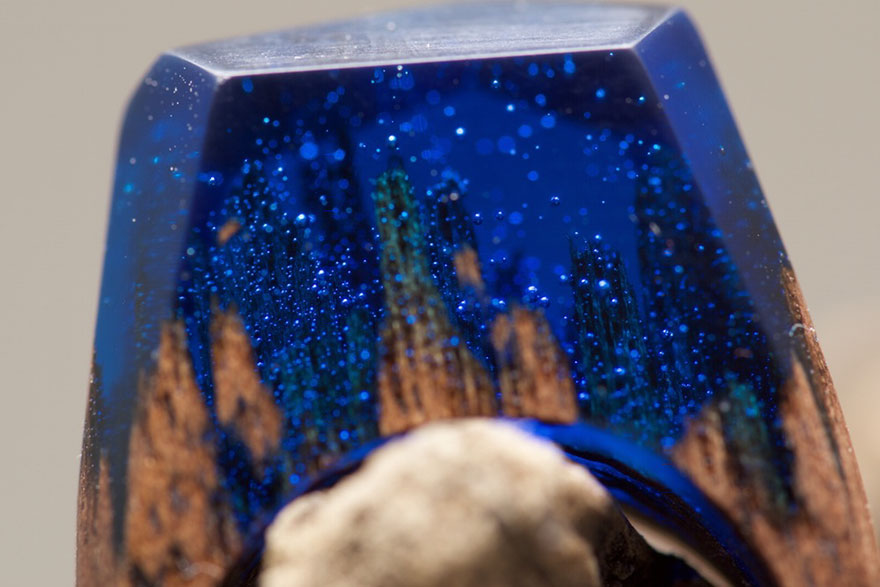 Secret Wood: 14 Anelli in Legno che Contengono Mondi Segreti!