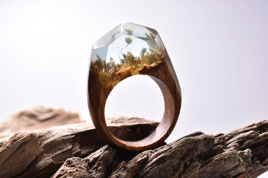 Secret Wood: 14 Anelli in Legno che Contengono Mondi Segreti!