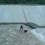 Il Cane cade Nel Fiume: Ecco Cosa ha Fatto questo Gruppo di Amici