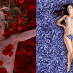 "American Beauty" in 15 scatti: perché la vera bellezza... non è come nei film