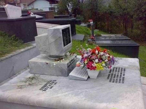 Le immagini che mostrano che la morte non è la fine della vita... creativa